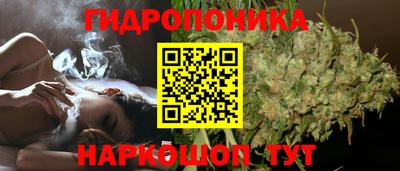 PSILOCYBIN Бузулук