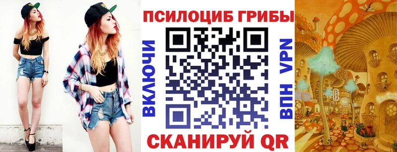 гидра ТОР  Нефтеюганск  Галлюциногенные грибы мицелий 