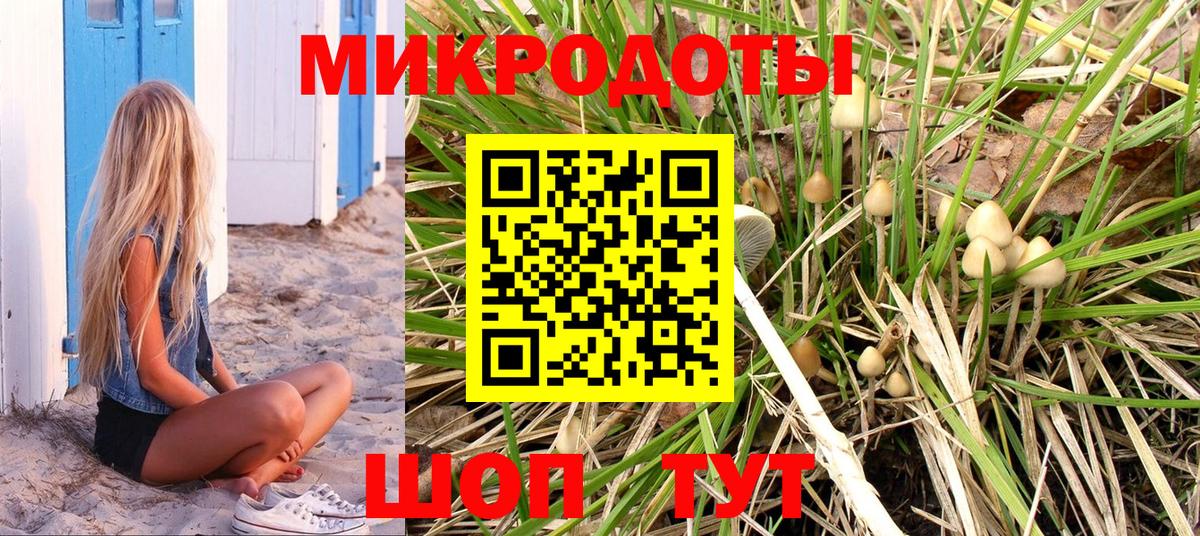 Галлюциногенные грибы Cubensis Нефтеюганск